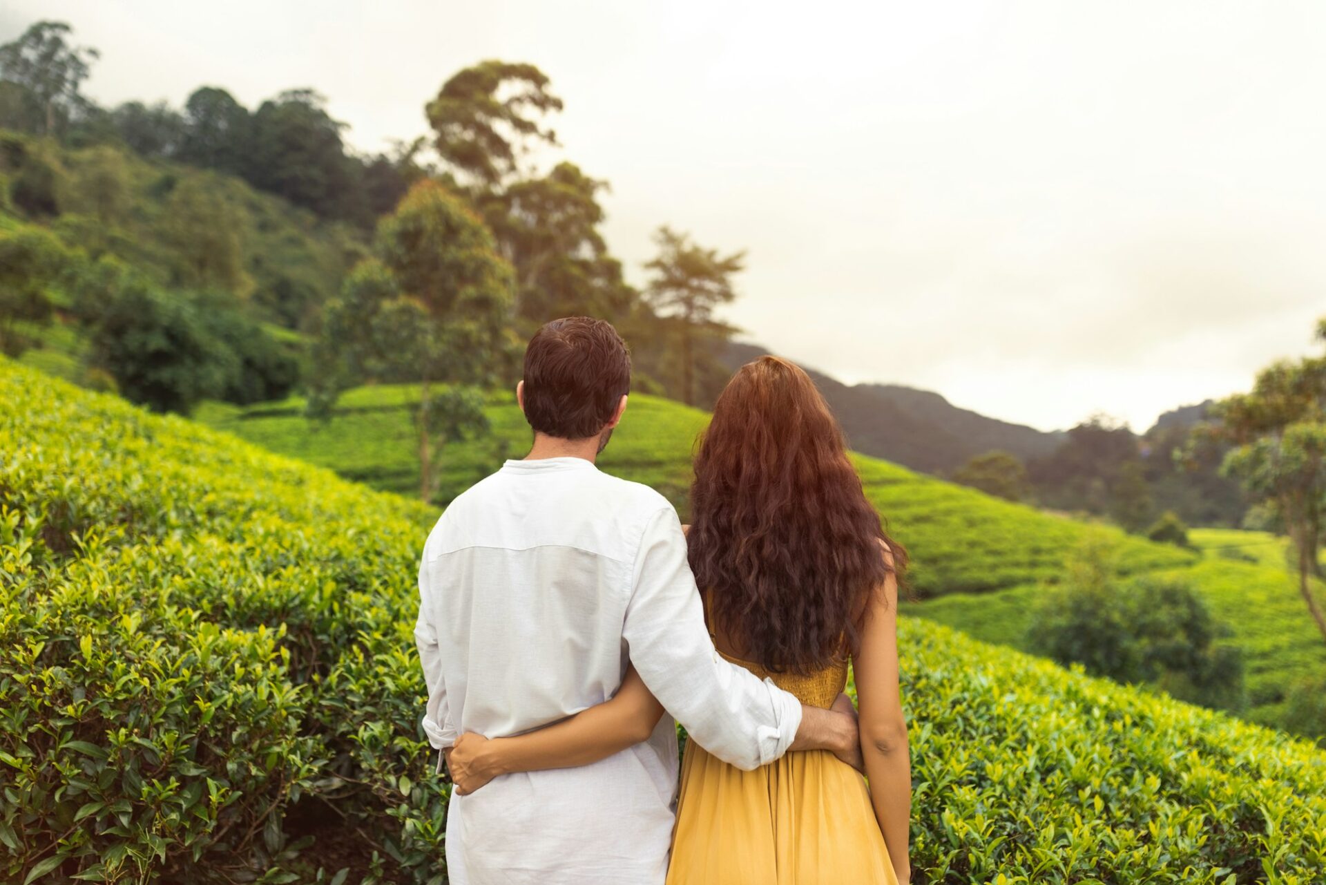 Couple of Tourists in During Excursion to Green Tea Terraces in Sri Lanka Mountains