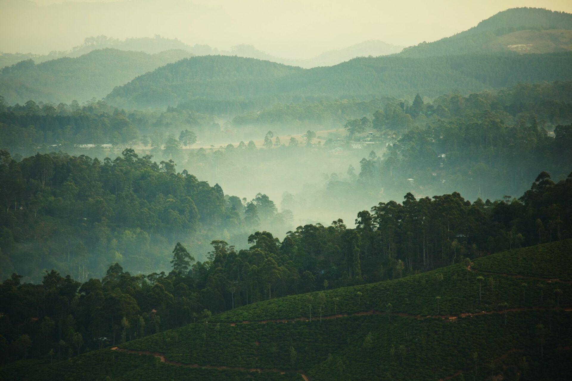 Sri Lanka landscapes