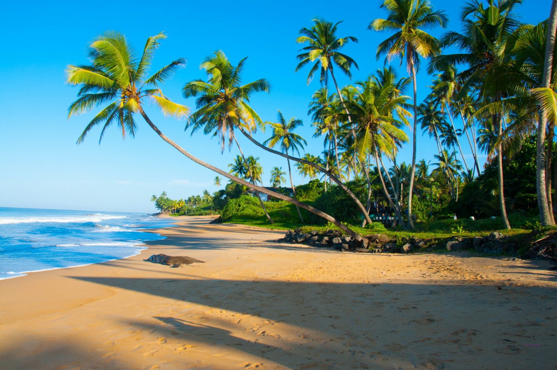 Untouched tropical beach in Sri Lanka