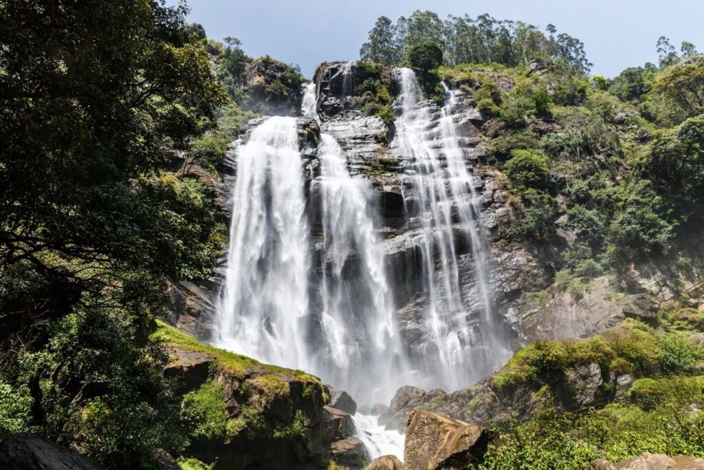 beautiful scenic view of green trees and waterfall, sri lanka, nuwara eliya