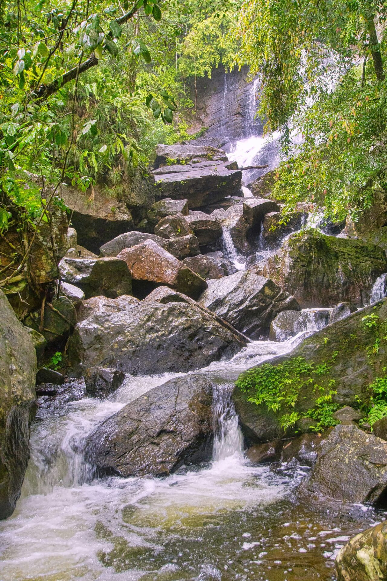 River Waterfall, Sinharaja National Park Rain Forest, Sri Lanka