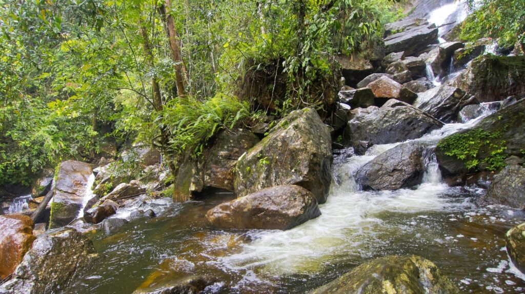 Waterfall, Sinharaja National Park Rain Forest, Sri Lanka